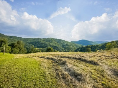 Apartment Wohnung in Anghiari mit Garten - Environment photo 31