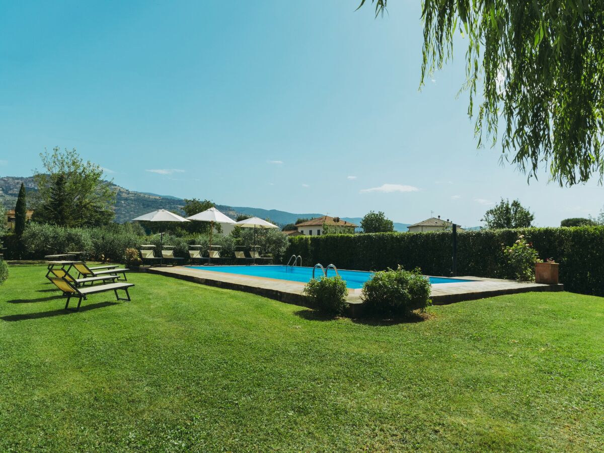 Farmhouse Quiet farmhouse in Cortona - Outdoor photo 4