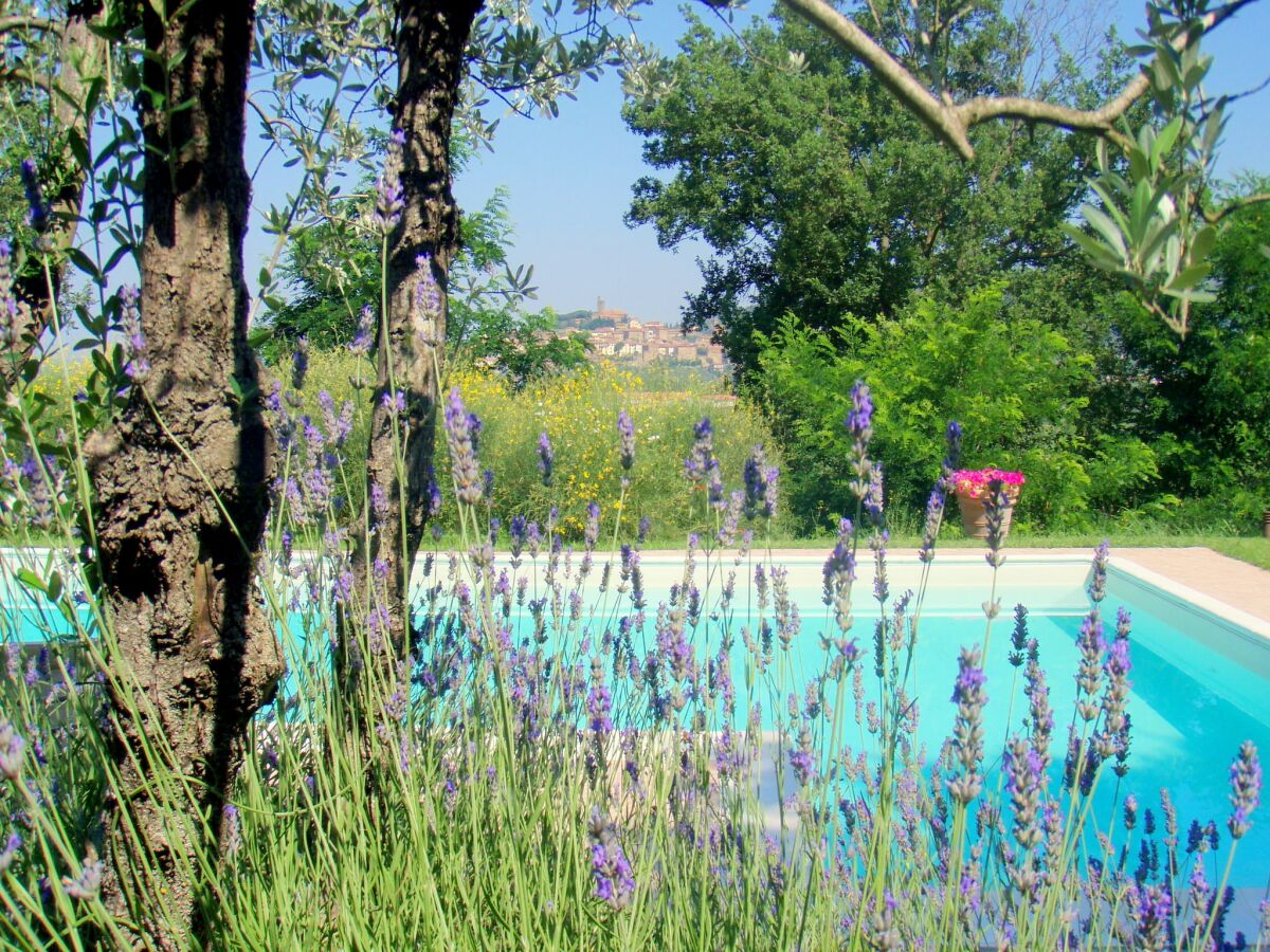 Holiday house Ferienhaus im Val di Chiana