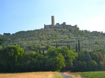 Holiday house Ferienhaus im Val di Chiana - Environment photo 36