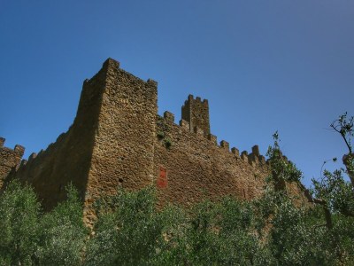 Holiday house Ruhiges Bauernhaus in Castiglion Fiorentino - Environment photo 30