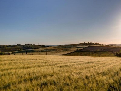 Holiday house Ferienhaus in Cortona mit Pool - Environment photo 28