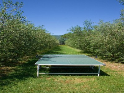 Holiday house Ferienhaus in Cortona mit Pool - Outdoor photo 37