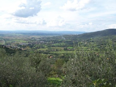 Chalet Chalet mit Pool in Cortona - Environment photo 35
