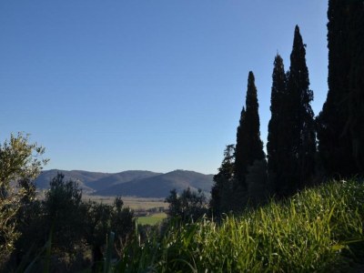 Holiday house Ferienhaus in Cortona - Environment photo 27