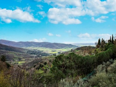 Holiday house Ferienhaus in Cortona - Environment photo 33