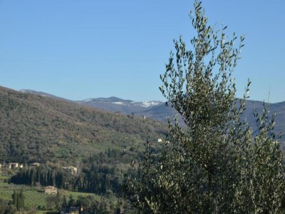 Holiday house Ferienhaus in Cortona - Environment photo 34