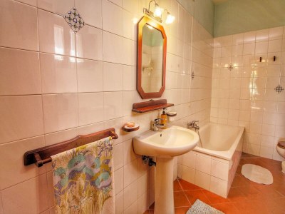 Cottage Attractive mansion with pool - Features photo 9