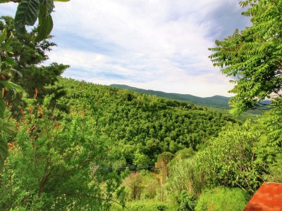 Farmhouse Farmhouse in Cortona - Environment photo 38