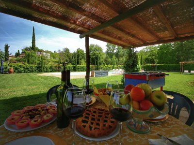 Holiday house Cottage in Tuscany with Pool & Olive Groves - Outdoor photo 40