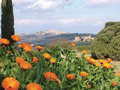 Holiday house Tuscan Charm: Frassini Cottage - Environment photo 24