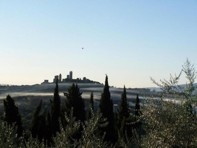 Holiday house Tuscan Charm: Frassini Cottage - Environment photo 40
