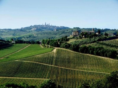 Holiday house Montana Escape, Tuscan Stay - Environment photo 26