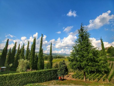 Farmhouse Bauernhaus am Chianti-Hügel - Environment photo 34