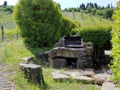 Farmhouse Bauernhaus am Chianti-Hügel - Outdoor photo 37