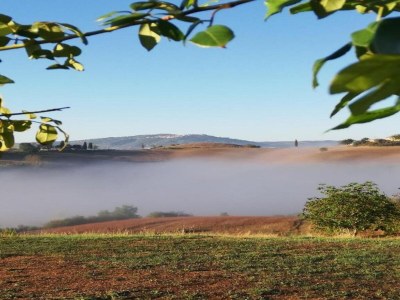 Farmhouse 360 degree view of the Tuscan - Environment photo 30