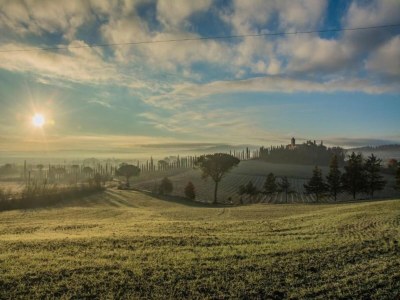 Farmhouse Farmhouse in Buonconvento - Environment photo 28
