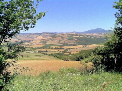 Holiday house Tuscan Hideaway with Pool - Outdoor photo 10