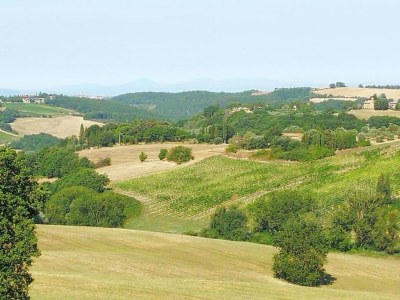 Farmhouse Farmhouse Montepulciano near Vineyards Pool - Environment photo 35
