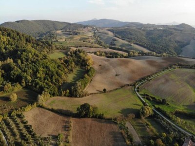 Farmhouse Farmhouse Montepulciano near Vineyards Pool - Environment photo 36