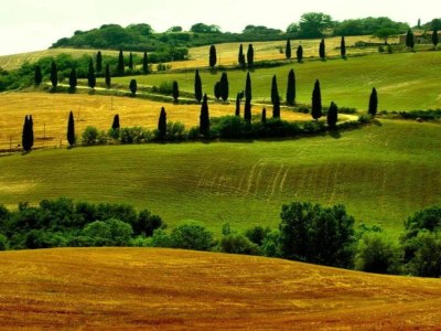 Farmhouse Farmhouse Montepulciano near Vineyards Pool - Environment photo 37