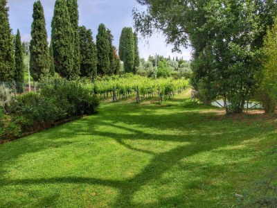 Villa Ruhiger Villenaufenthalt in der Toskana - Outdoor photo 7