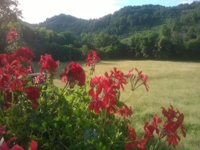 Holiday house Holiday Home in Mulazzo near Tuscan Castles - Environment photo 31