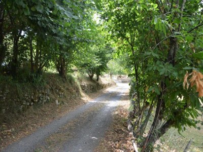 Holiday house Holiday Home in Mulazzo near Tuscan Castles - Environment photo 34