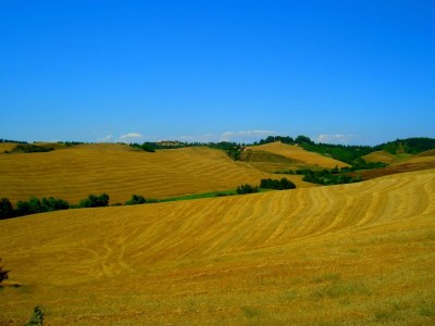 Farmhouse Agriturismo in Tuscany with Pool and Wine Tasting - Outdoor photo 6