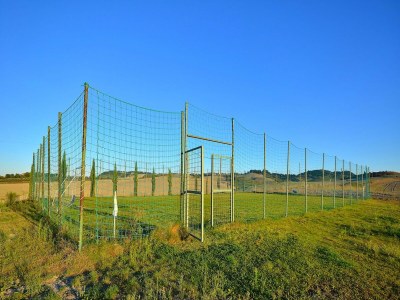 Farmhouse Agriturismo in Tuscany with Pool and Wine Tasting - Outdoor photo 29