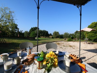 Farmhouse Romantic Farmhouse with Pool - Outdoor photo 11
