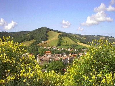 Holiday house Cottage in Marche near Ski Slopes - Environment photo 35