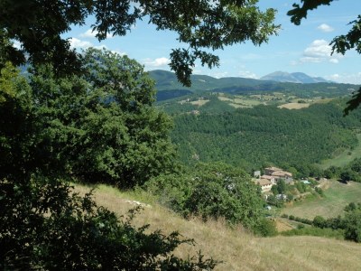 Farmhouse Farmhouse in Apecchio with Pool and Terrace - Outdoor photo 7