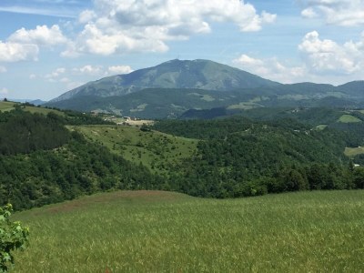 Farmhouse Chalet in Apecchio with Pool and Mountain Views - Outdoor photo 24