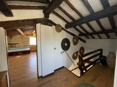 Villa Pet-Friendly Villa with Garden - Features photo 31
