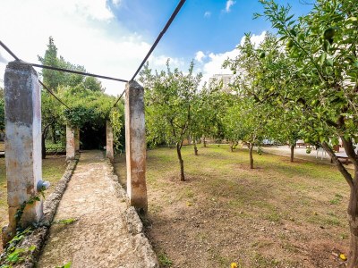 Holiday house Charming Home in Casarano with Garden - Outdoor photo 5