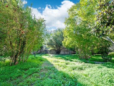 Holiday house Charming Home in Casarano with Garden - Environment photo 35