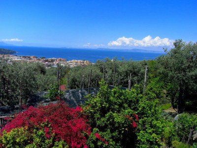 Cottage Mansion in Sorrento near the Beach - Outdoor photo 6