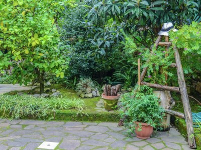 Cottage Villa in Sorrent nahe Marina Grande - Outdoor photo 6