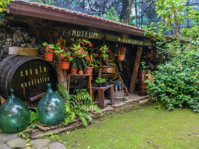 Cottage Villa in Sorrent nahe Marina Grande - Environment photo 32