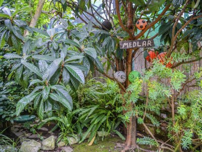 Cottage Villa in Sorrent nahe Marina Grande - Outdoor photo 40