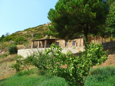 Farmhouse Haustierfreundliches Bauernhaus - Outdoor photo 10