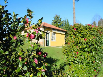 Holiday house Cottage in Santa Comba with Pool - Outdoor photo 8