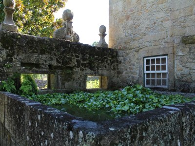 Holiday house Santa Comba Garden Cottage - Outdoor photo 11