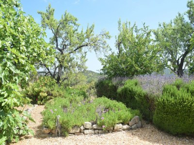 Cottage Lebhaftes Landhaus mit Gemeinschaftspool - Outdoor photo 9