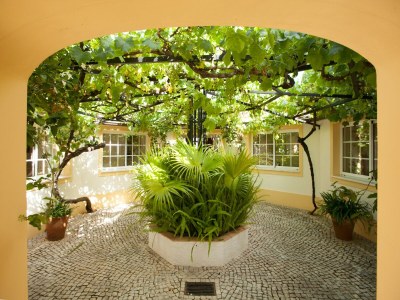 Villa Villa mit Gartenoase in Monchique - Outdoor photo 14
