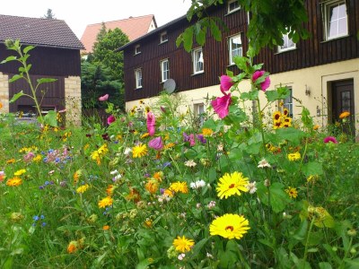 Apartment chicke Ferienwohnung in Struppen in Königstein - Apartment