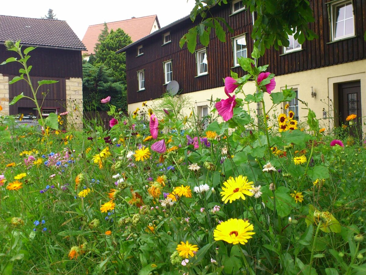 Apartment chicke Ferienwohnung in Struppen