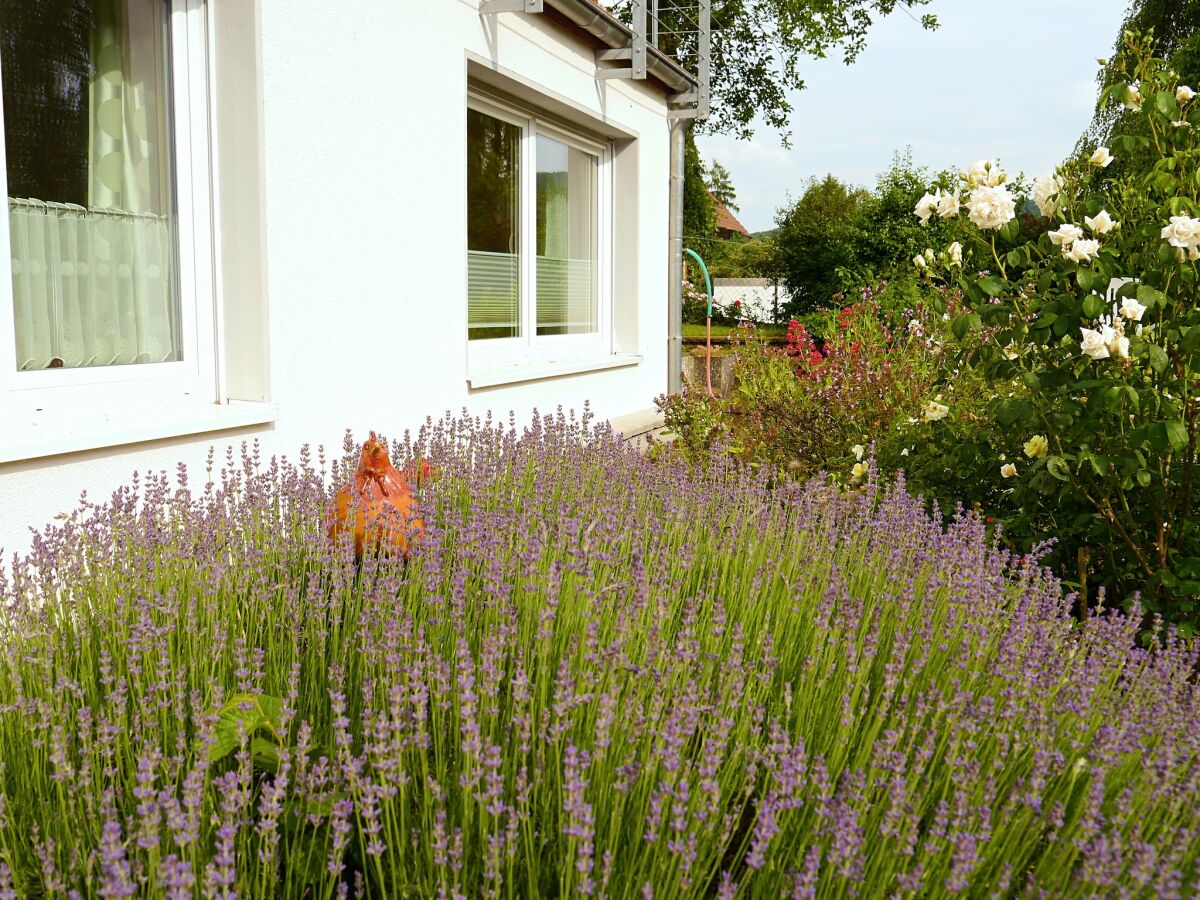 Apartment Ferienwohnung in Löwensen mit eigener Terrasse - Outdoor photo 3