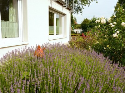 Apartment Ferienwohnung in Löwensen mit eigener Terrasse - Outdoor photo 3
